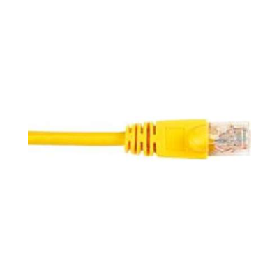 CAT6PC-003-YL